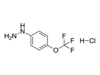 4-三氟甲氧基苯肼鹽酸鹽，98%（HPLC） 