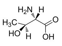 L-別蘇氨酸，95%(HPLC) 