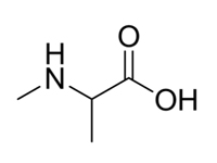 N-甲基-DL-丙氨酸，98%（HPLC） 